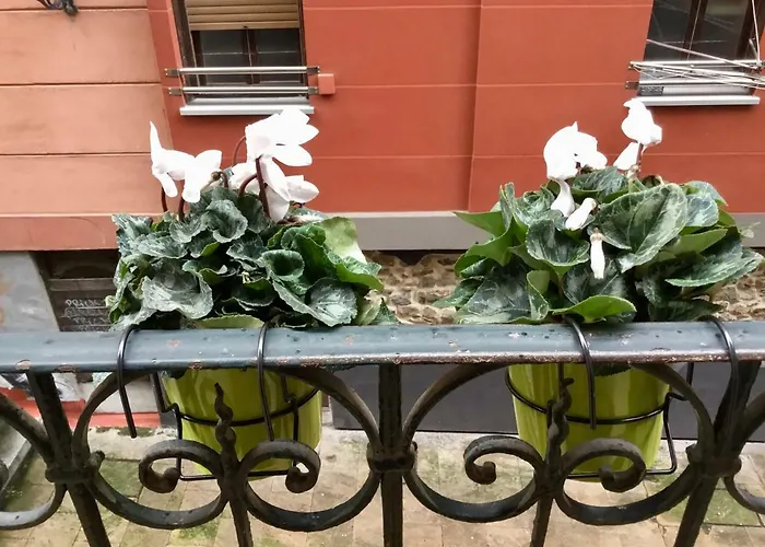 El Botxito Apartamento