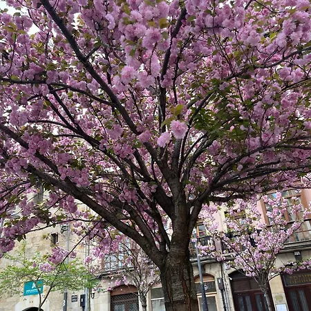 El Botxito Appartamento