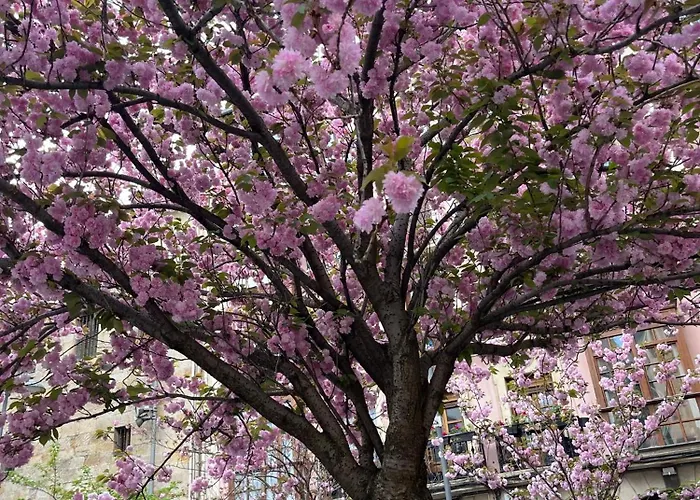 El Botxito Appartamento